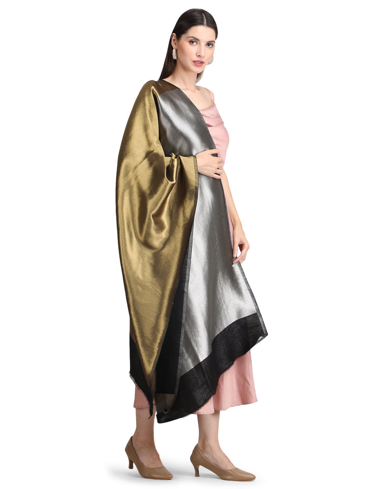 Silver & Gold Zari Reversible Stole- 403 - Black