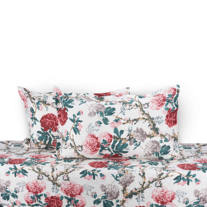 Blossoms Cotton Double Bedsheet - Maroon